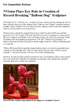 NVision-Balloon-Dog