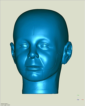 high-density polygonal mesh