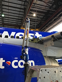 bird damaged aircraft 