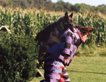 Using NVision’s laser scanning and engineering services has helped a manufacturer of K9 training equipment save time and money while increasing the accuracy with which it can digitize prototypes.