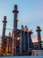 Full Power Plant Scanning